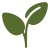 icons8 leaves 50